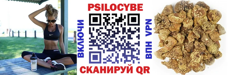 Псилоцибиновые грибы GOLDEN TEACHER  kraken вход  Пласт 